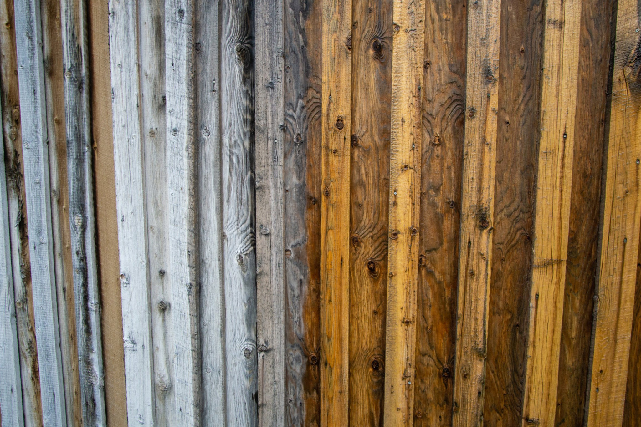 Wood-Siding-Restoration-In-Progress-3 Wood-Siding-Restoration-In-Progress-3
